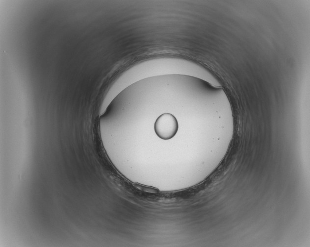 X0000110910256200907161504