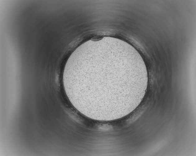 X0000110910258200907161504