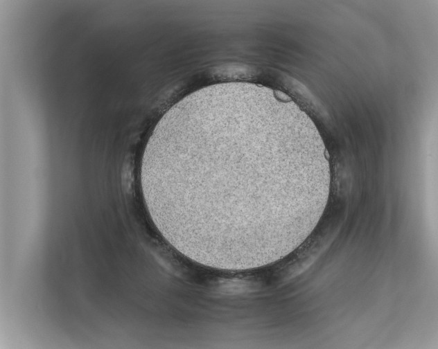 X0000110910259200907161504