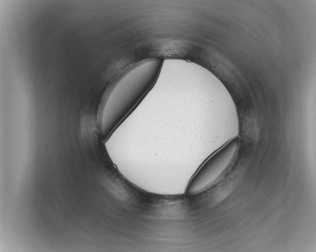 X0000110910260200907161504