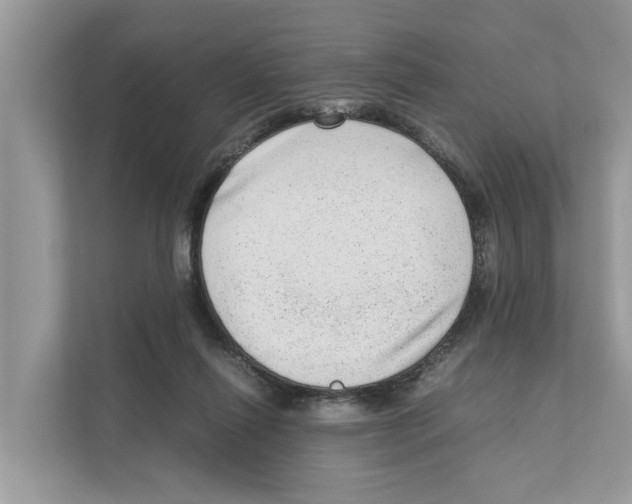 X0000110910262200907161505