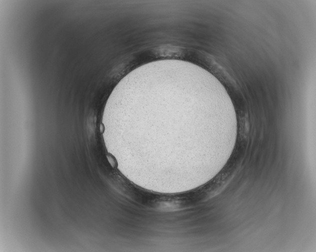 X0000110910263200907161505