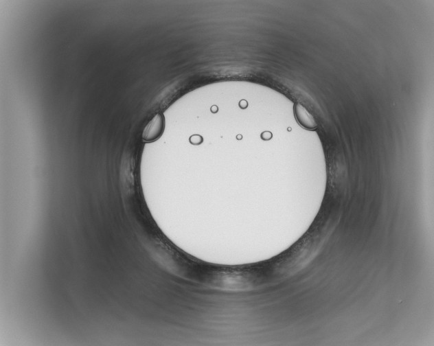 X0000110910264200907161505