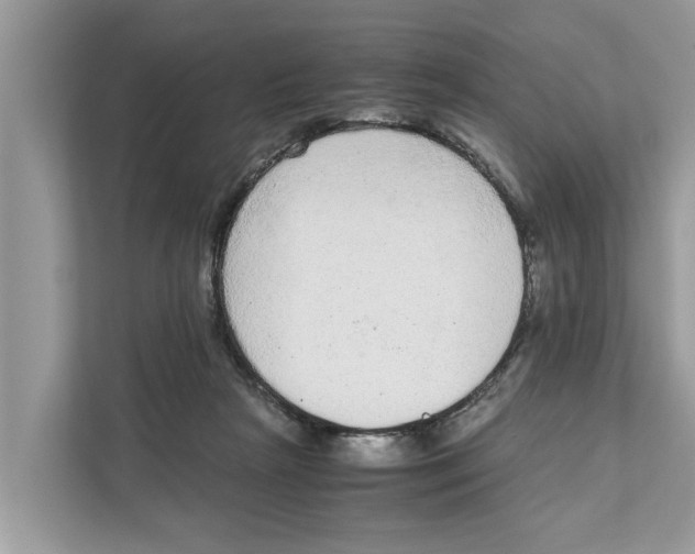 X0000110910265200907161505