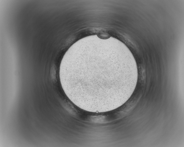 X0000110910266200907161505