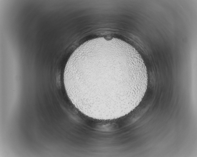 X0000110910267200907161505