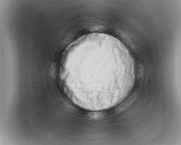 X0000110910273200907161505