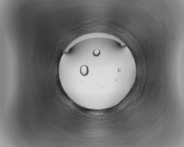 X0000110910284200907161505