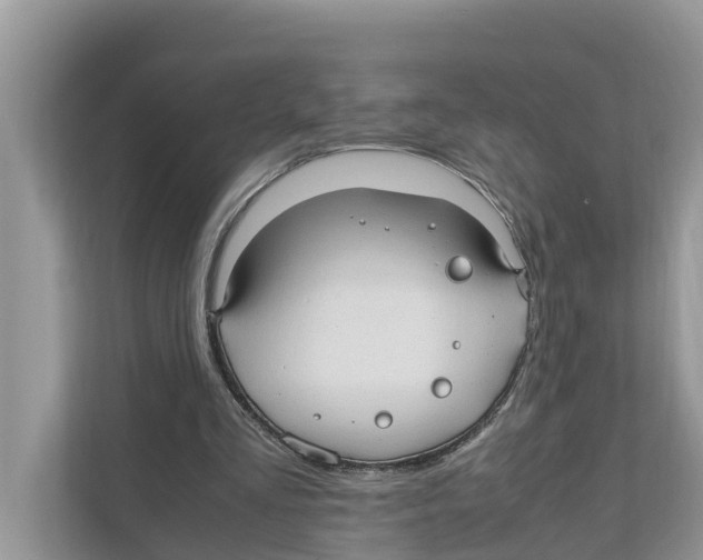 X0000110910293200907161504