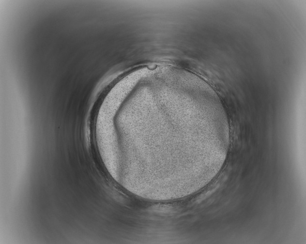 X0000110910294200907161504