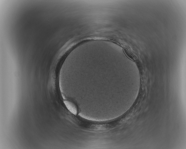 X0000110910295200907161504