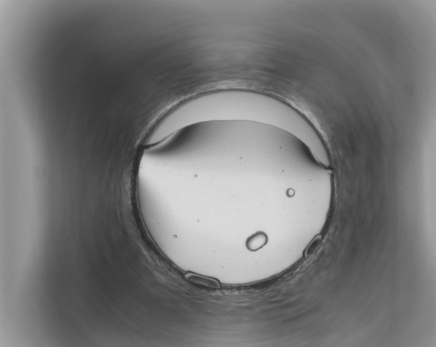 X0000110910297200907161504