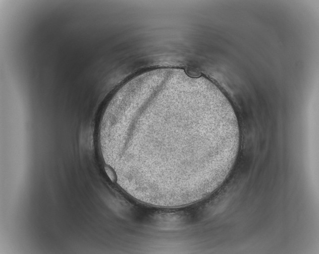 X0000110910299200907161504