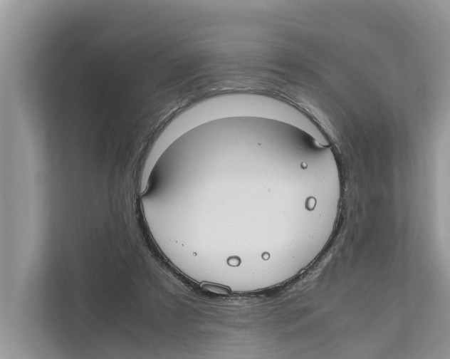 X0000110910305200907161504