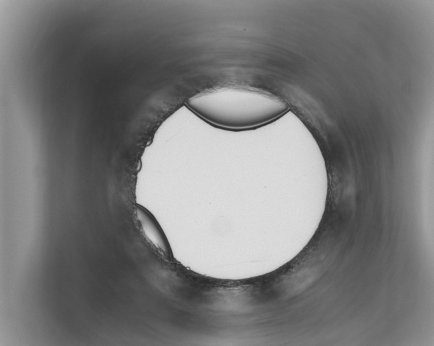 X0000110910307200907161504