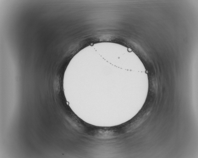 X0000110910311200907161504