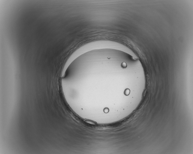 X0000110910313200907161504