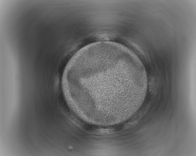 X0000110910314200907161504