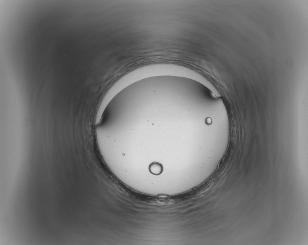 X0000110910317200907161504