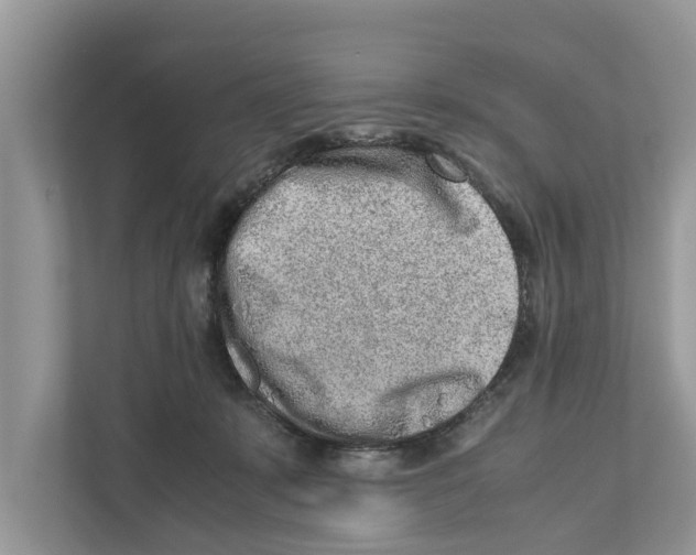 X0000110910319200907161504