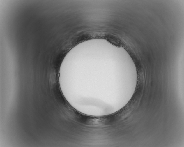 X0000110910323200907161504