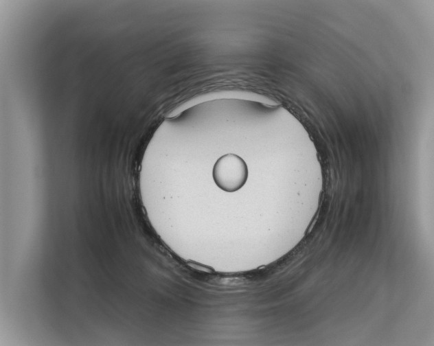 X0000110910324200907161504