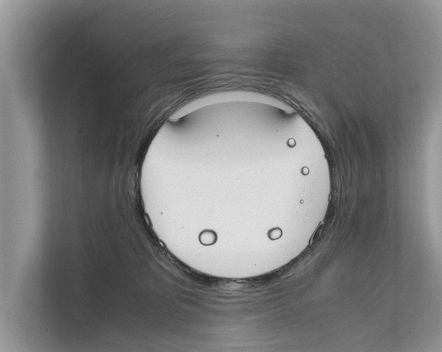 X0000110910325200907161504