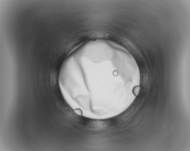 X0000110910326200907161504