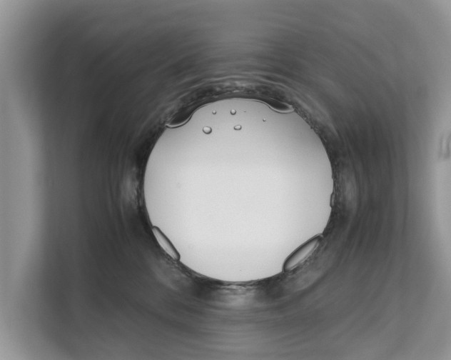 X0000110910328200907161504