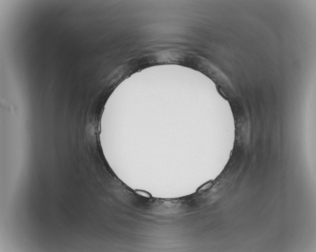 X0000110910329200907161504