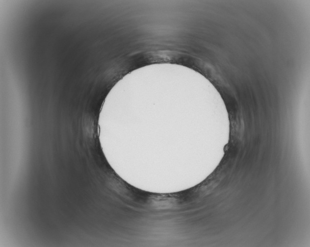 X0000110910331200907161504