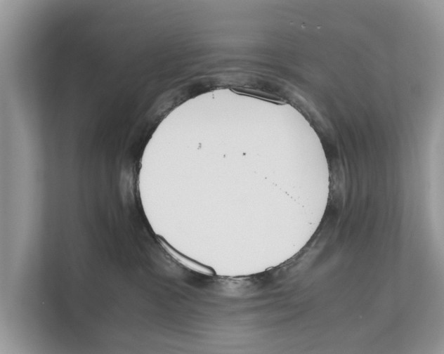 X0000110910333200907161504