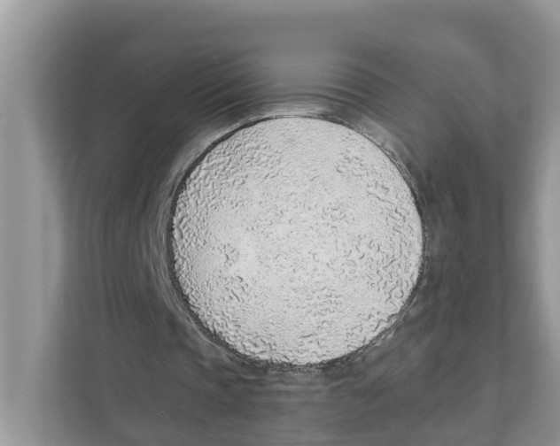 X0000110910337200907161503