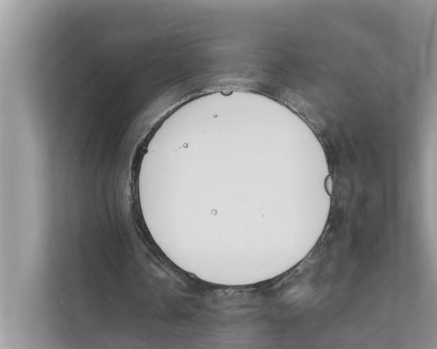 X0000110910338200907161503