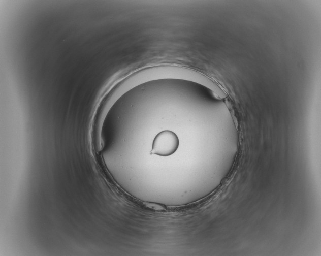 X0000110910340200907161503