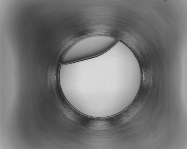 X0000110910348200907161503