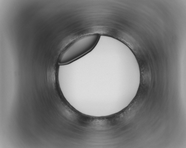 X0000110910350200907161503