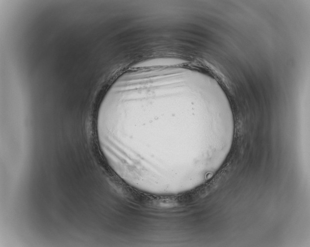 X0000110910353200907161503