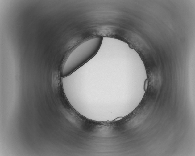 X0000110910356200907161503