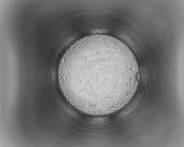 X0000110910357200907161503