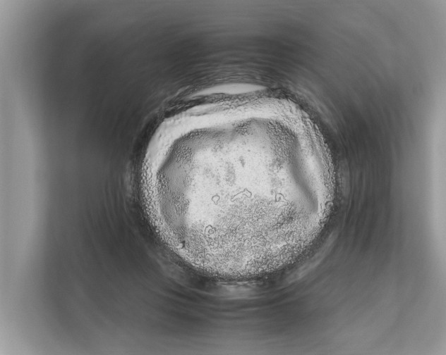 X0000110910359200907161503