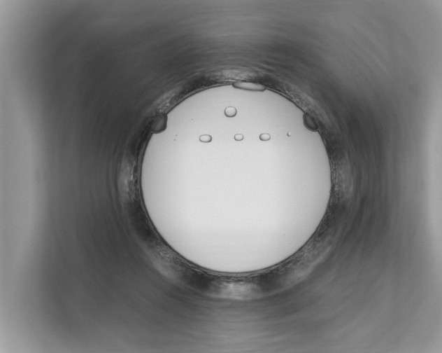 X0000110910360200907161503