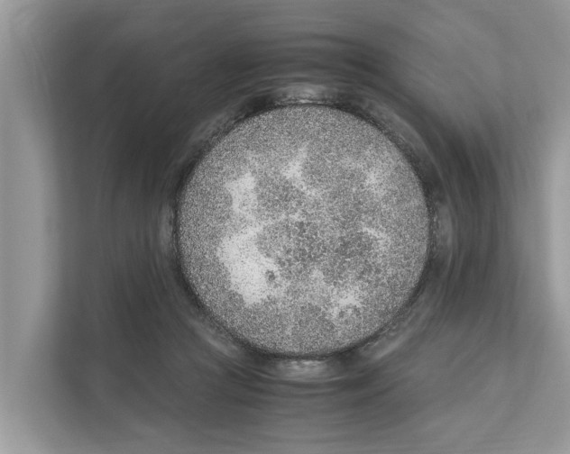 X0000110910361200907161503