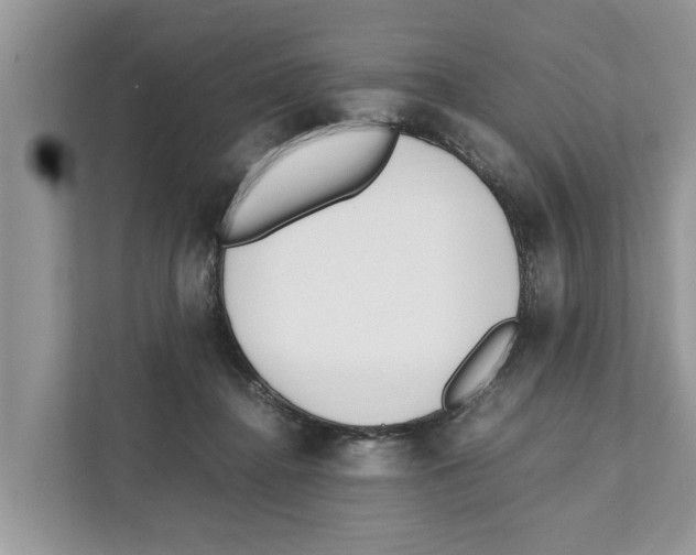 X0000110910364200907161503