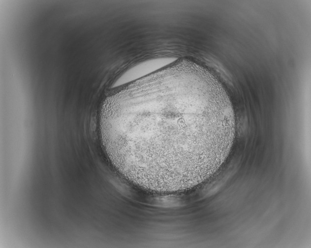 X0000110910365200907161503