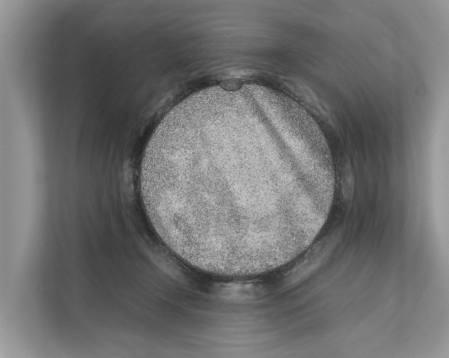 X0000110910366200907161503