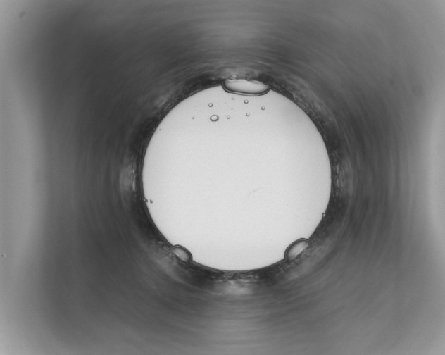 X0000110910368200907161503