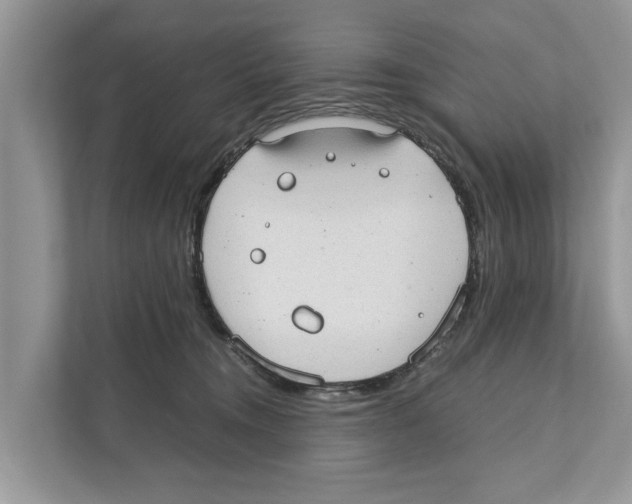 X0000110910372200907161503