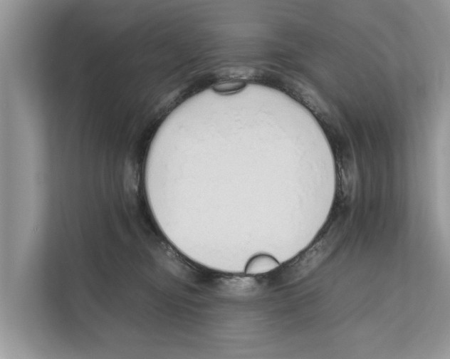 X0000110910374200907161503