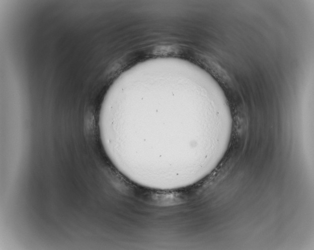 X0000110910375200907161503